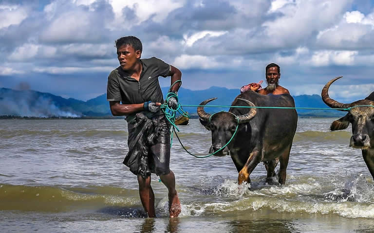 Beautiful Bangladesh